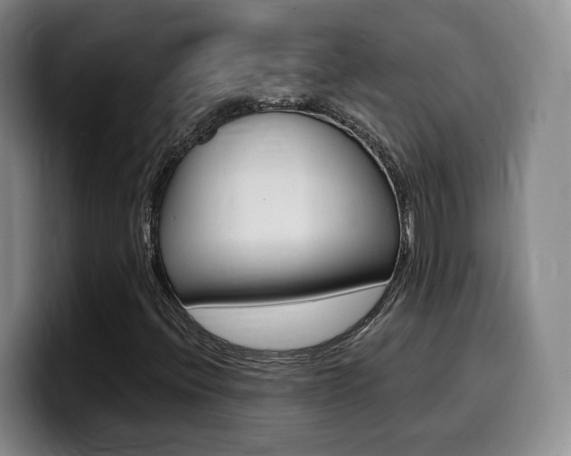 X0000099451396200805090718