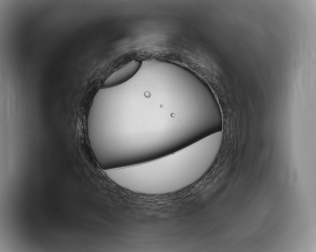 X0000099451397200805090718