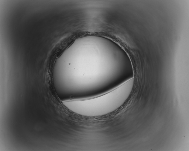 X0000099451398200805090718
