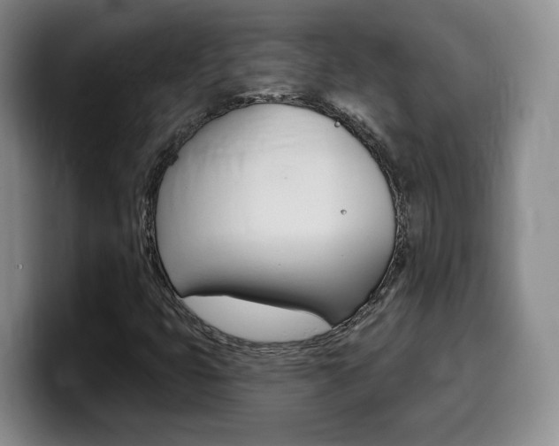 X0000099451399200805090718