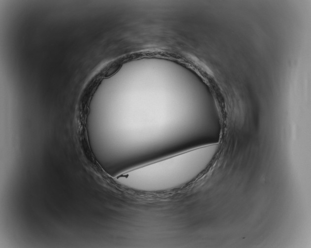 X0000099451400200805090718