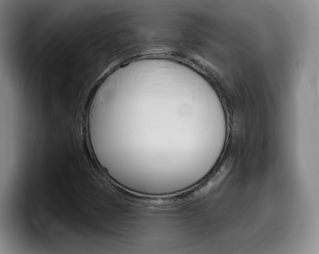 X0000099451401200805090718