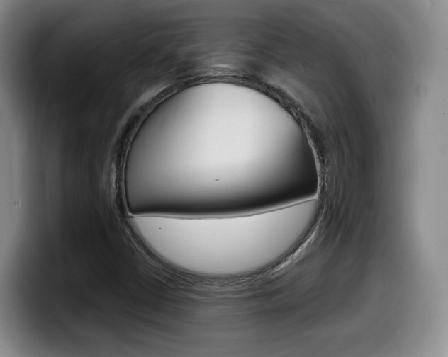 X0000099451402200805090718