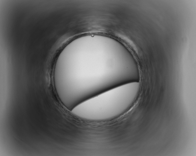 X0000099451407200805090718
