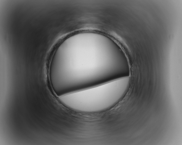 X0000099451408200805090718