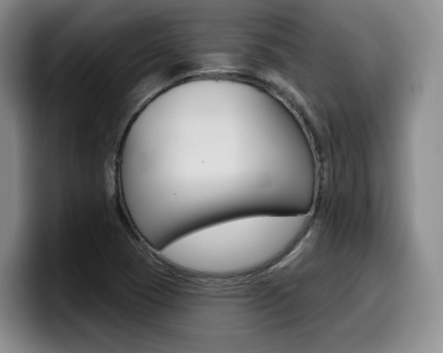 X0000099451409200805090718