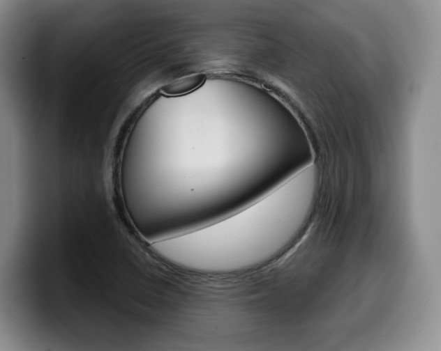 X0000099451410200805090718