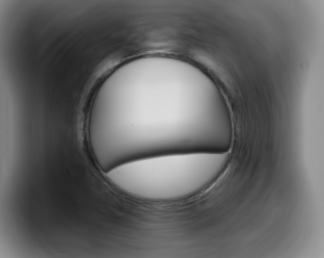 X0000099451411200805090718