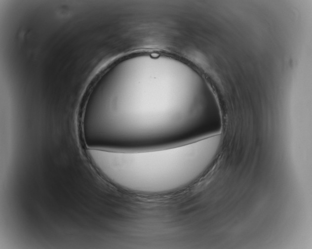 X0000099451412200805090718