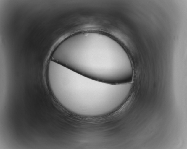 X0000099451413200805090718