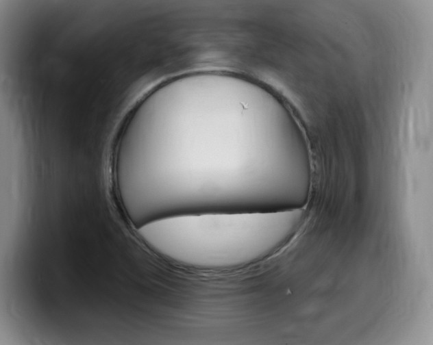 X0000099451415200805090718