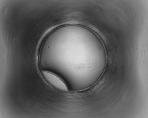X0000099451416200805090718