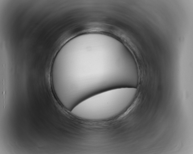 X0000099451417200805090718