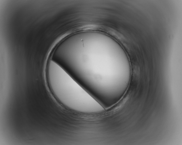 X0000099451418200805090718