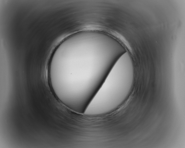 X0000099451419200805090718