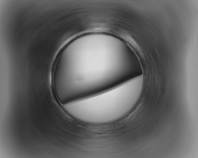 X0000099451420200805090718