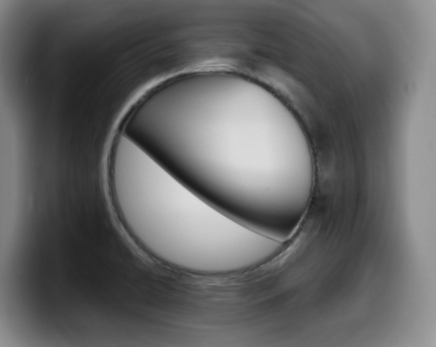X0000099451422200805090718