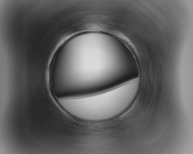 X0000099451424200805090718