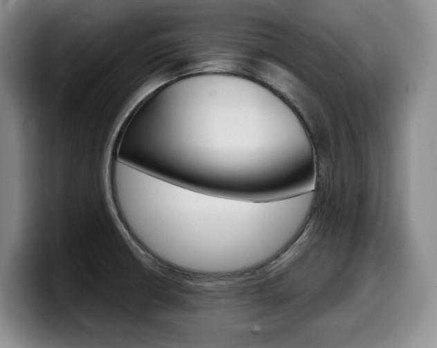 X0000099451426200805090718