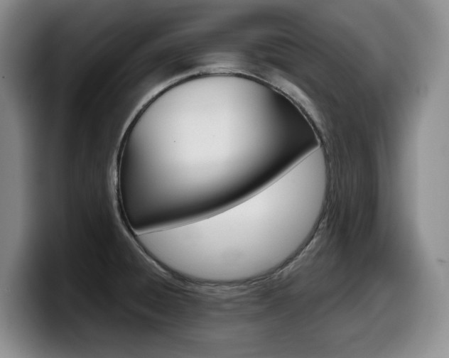 X0000099451428200805090718