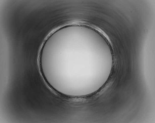 X0000099451429200805090718