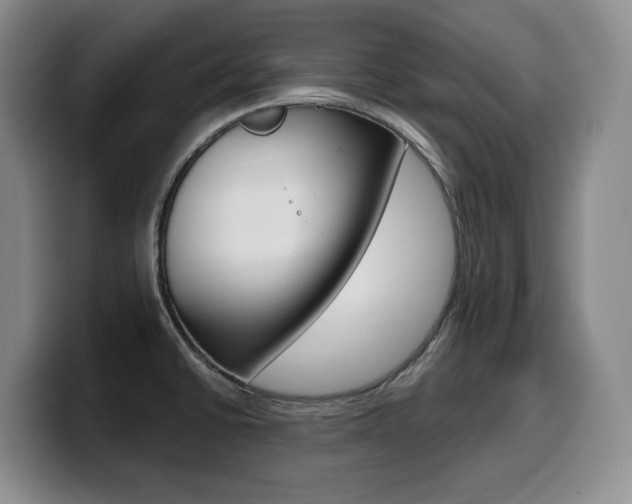 X0000099451430200805090718