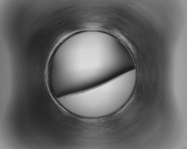 X0000099451432200805090718