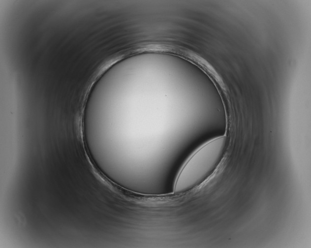 X0000099451433200805090718