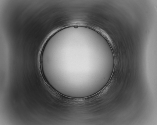 X0000099451435200805090718