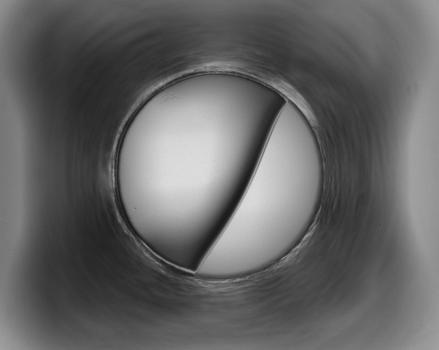 X0000099451436200805090718