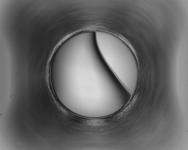 X0000099451437200805090718
