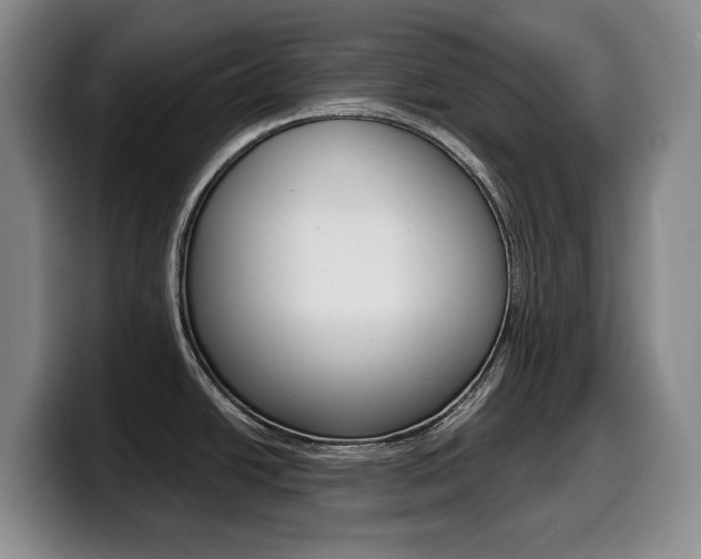X0000099451438200805090719