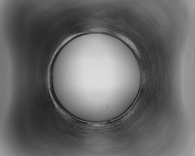 X0000099451439200805090719
