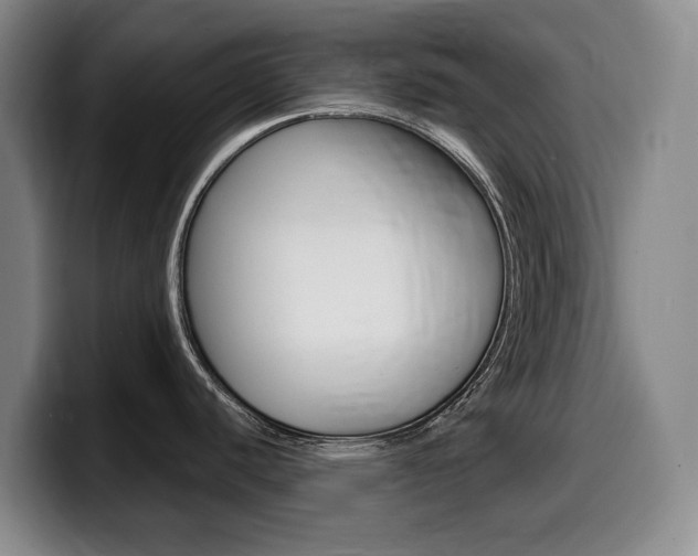 X0000099451440200805090719