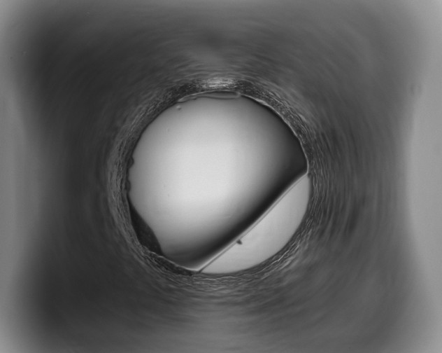 X0000099451441200805090718