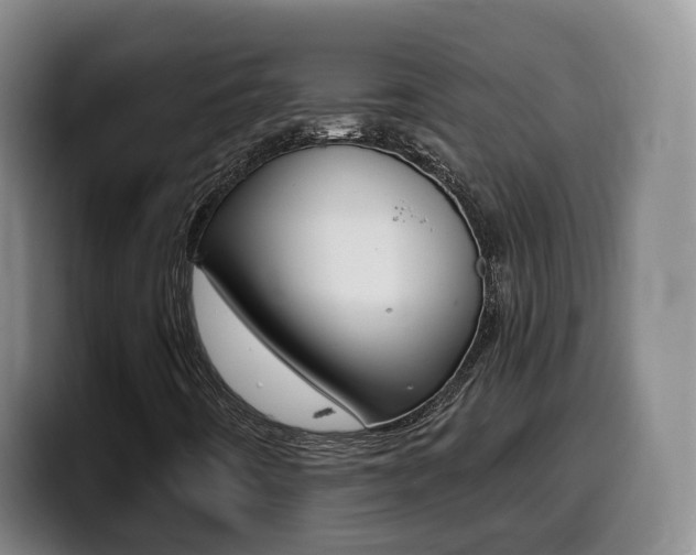 X0000099451442200805090718
