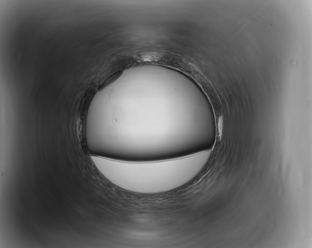 X0000099451443200805090718