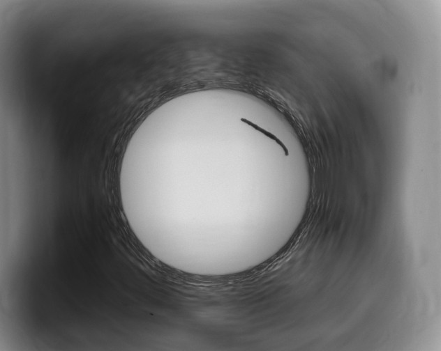 X0000099451444200805090718