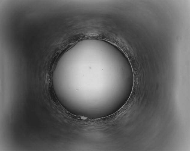 X0000099451445200805090718