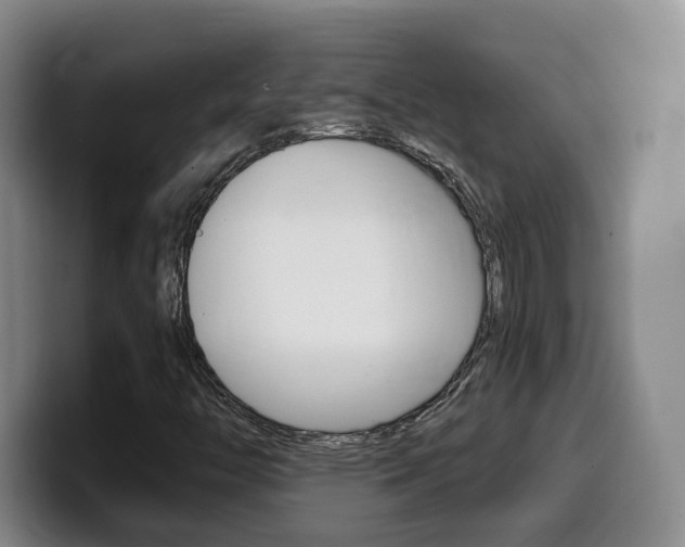 X0000099451446200805090718
