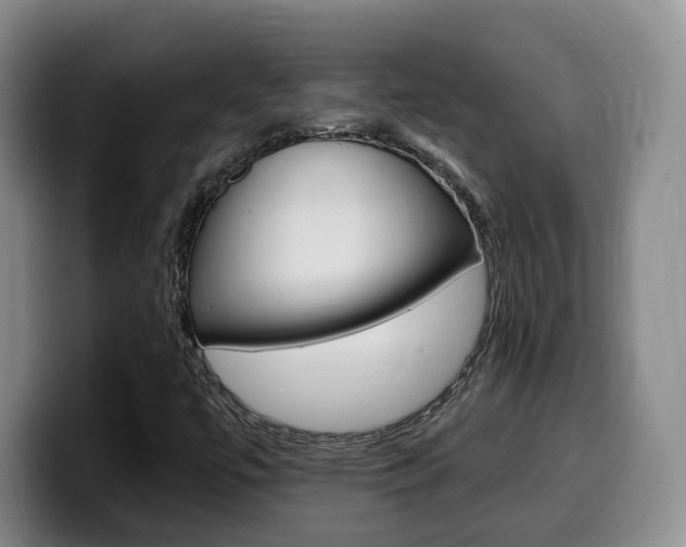 X0000099451447200805090718