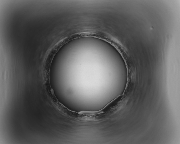 X0000099451448200805090718