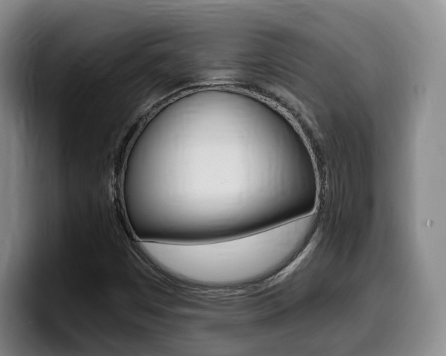 X0000099451449200805090718