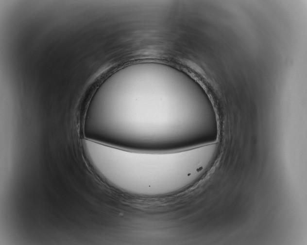 X0000099451450200805090718