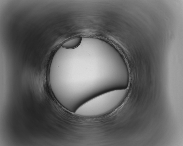 X0000099451451200805090718