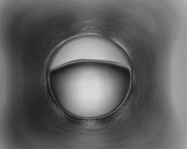 X0000099451452200805090718