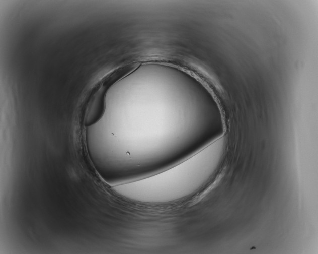 X0000099451453200805090718