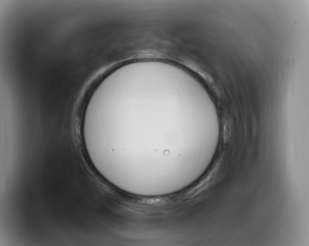 X0000099451454200805090718