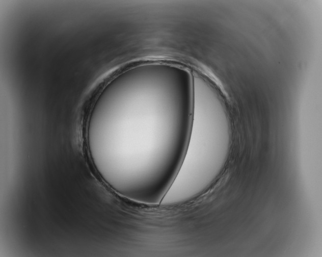 X0000099451456200805090718