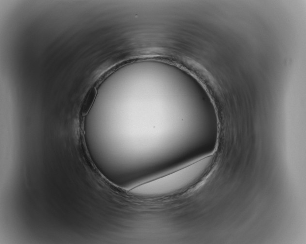 X0000099451457200805090718
